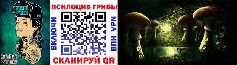 где можно купить   Микунь  Псилоцибиновые грибы Psilocybine cubensis 